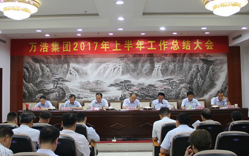 万浩集团老总_周口双刀少年万浩
